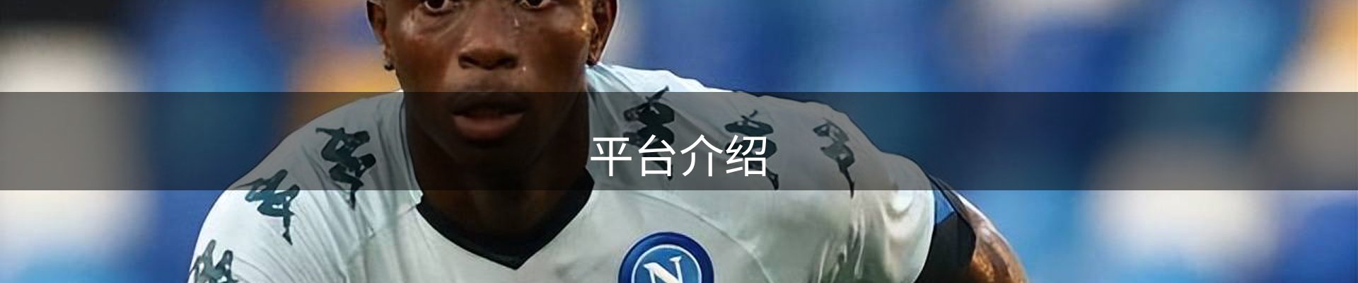 平台介绍
